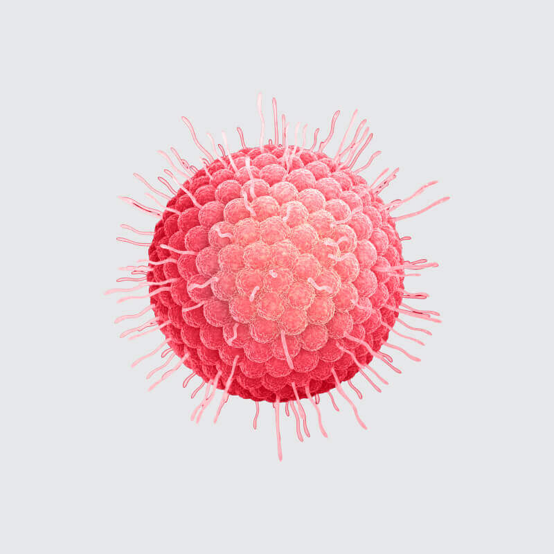 virus